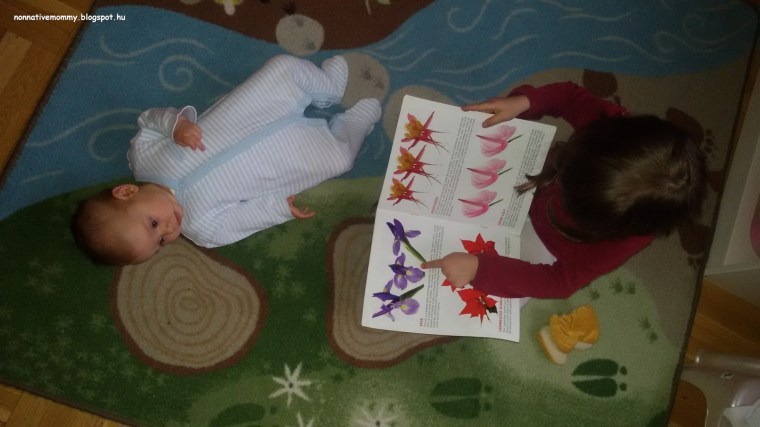 a6431-20160501_174801