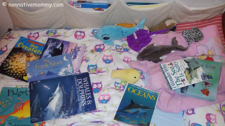 20170515_194310[1] (2)